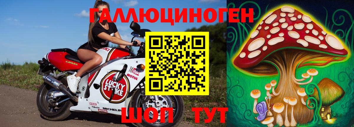Галлюциногенные грибы ЛСД  Вход с VPN  Верхняя Пышма 