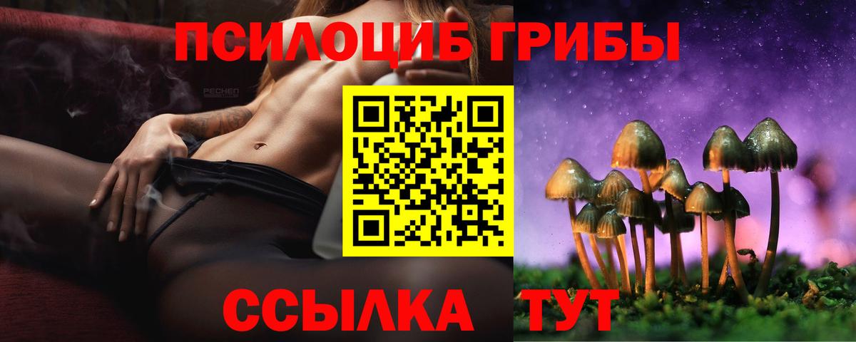 Галлюциногенные грибы Cubensis Верхняя Пышма